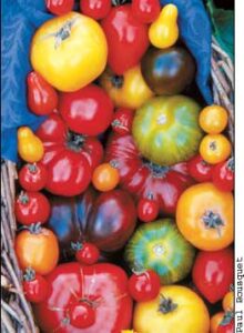 Grow Great-Tasting Tomatoes Image